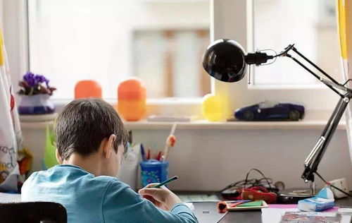 教育局發(fā)文加強(qiáng)教育咨詢服務(wù)，家長監(jiān)督職責(zé)獲強(qiáng)化